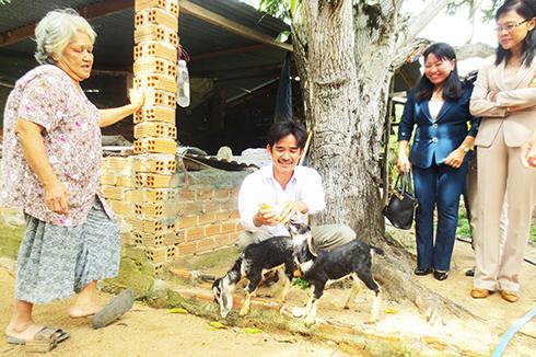 Ông Tuấn chăm sóc dê con tại nhà