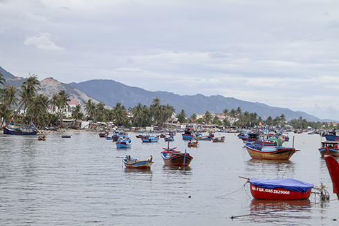 Một góc vùng biển bắc Vân Phong. 