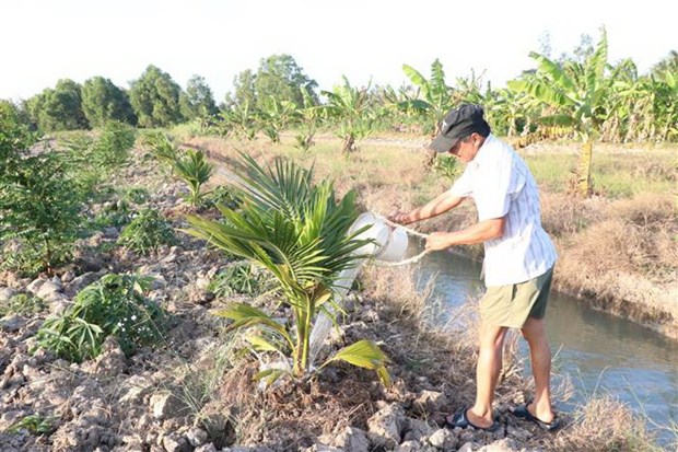 Nguon nuoc tiep tuc thieu hut, xam nhap man ngay cang sau hinh anh 1