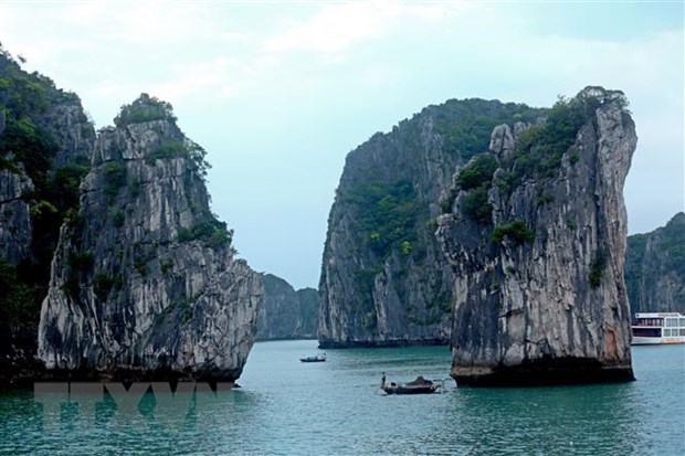 Quang Ninh 'bac' tin co du thuyen cho nguoi nhiem virus o Ha Long hinh anh 1