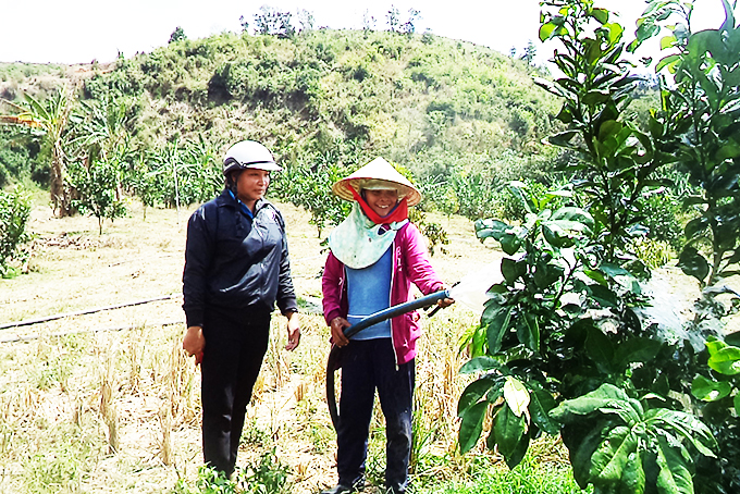 Nguồn vốn Ngân hàng Chính sách xã hội đã tạo nguồn lực cho hội viên, phụ nữ  phát triển kinh tế gia đình.