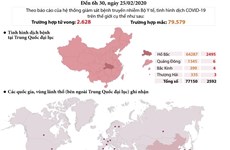 [Infographics] Cập nhật tình hình dịch COVID-19 trên toàn thế giới