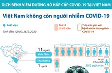 Bệnh nhân thứ 16 xuất viện, Việt Nam không còn người nhiễm COVID-19