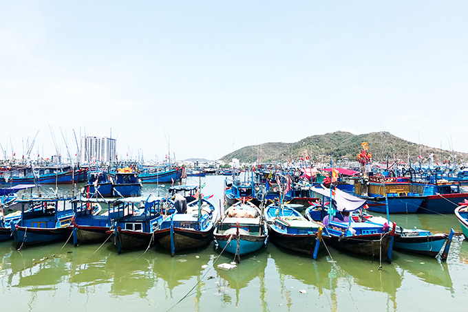 Rất nhiều tàu cá vẫn neo lại cảng Hòn Rớ, chưa vươn khơi khai thác do chủ tàu sợ thua lỗ.