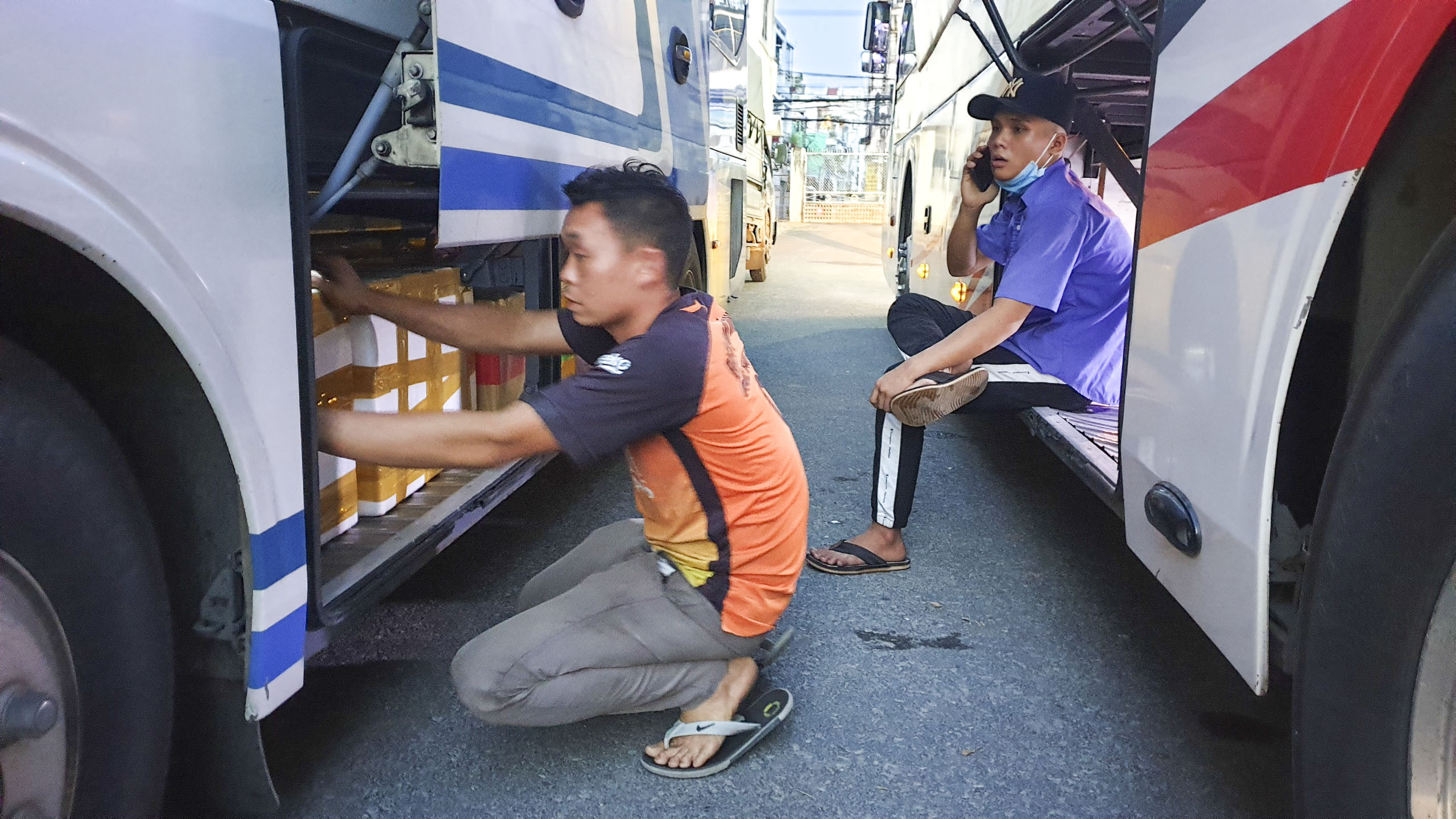 Ngaoif chở khách, xe còn chở một lượng lớn ốc hương đã được đóng thùng.