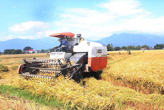 Cơ giới hóa trong sản xuất nông nghiệp ở Vạn Ninh.