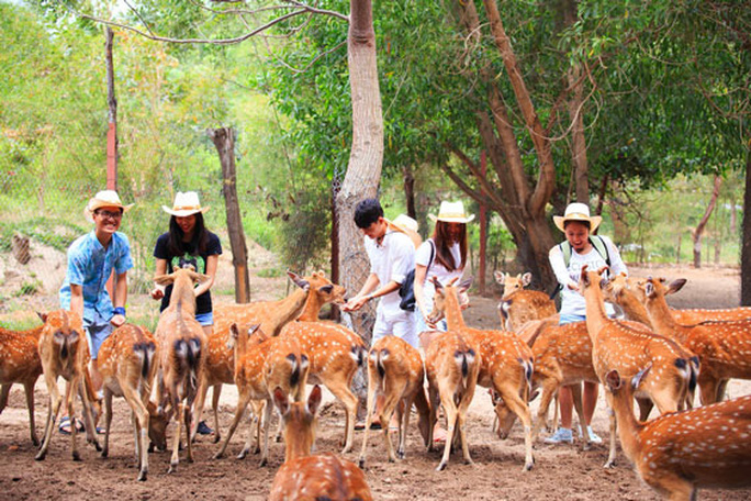 Du lịch Nha Trang mở cửa lại - Ảnh 1.