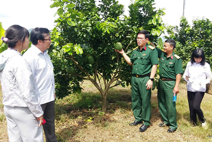 Nhóm đỡ đầu xã Khánh Phú gồm các cơ quan, đơn vị: Bộ Chỉ huy Quân sự tỉnh - trưởng nhóm, Kho bạc Nhà nước tỉnh, Cục thuế tỉnh, Cảng vụ Hàng hải Nha Trang, Công ty Cổ phần Xây dựng công trình giao thông 510, Ngân hàng Quân đội chi nhánh Khánh Hòa.