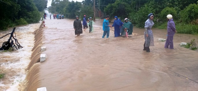 Bão số 12 áp sát bờ Phú Yên, Khánh Hòa, mưa rất to - Ảnh 1.