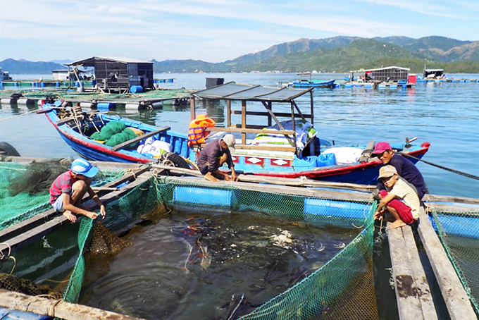 Nuôi trồng thủy sản ở khu vực Hòn Lăng, xã Ninh Ích. Ảnh: Kim Sơ