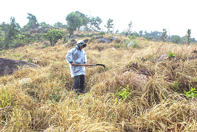 Khu đất mà ông Nguyễn Phong Thành yêu cầu cấp sổ đỏ. 