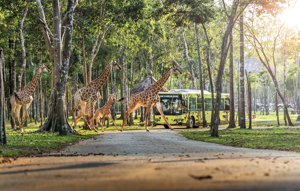 Vinpearl Golf được công nhận sân golf resort tốt nhất châu Á Thái Bình Dương.