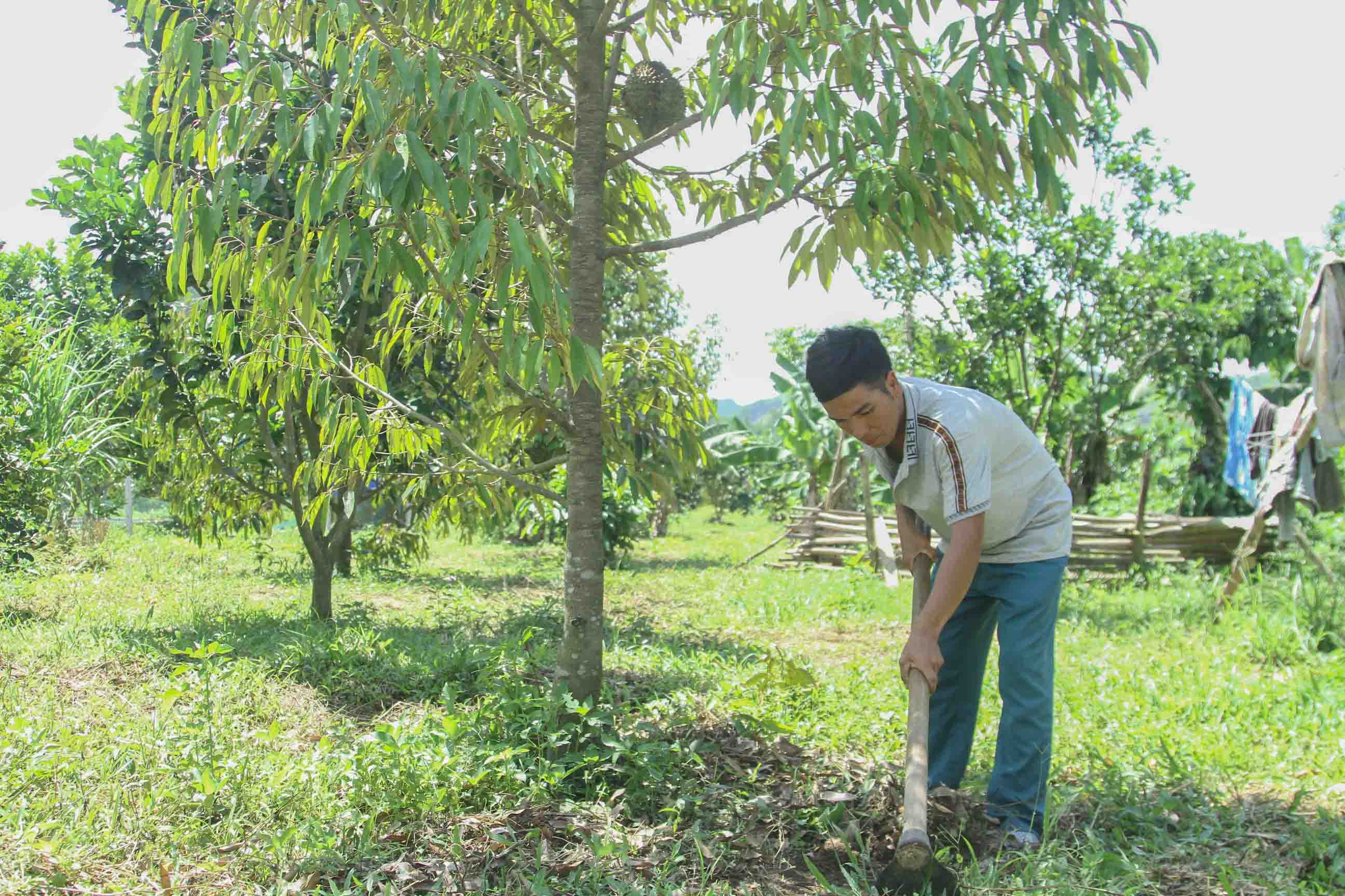 Đồng bào dân tộc thiểu số huyện Khánh Sơn chăm sóc vườn nhà. Ảnh minh họa. 