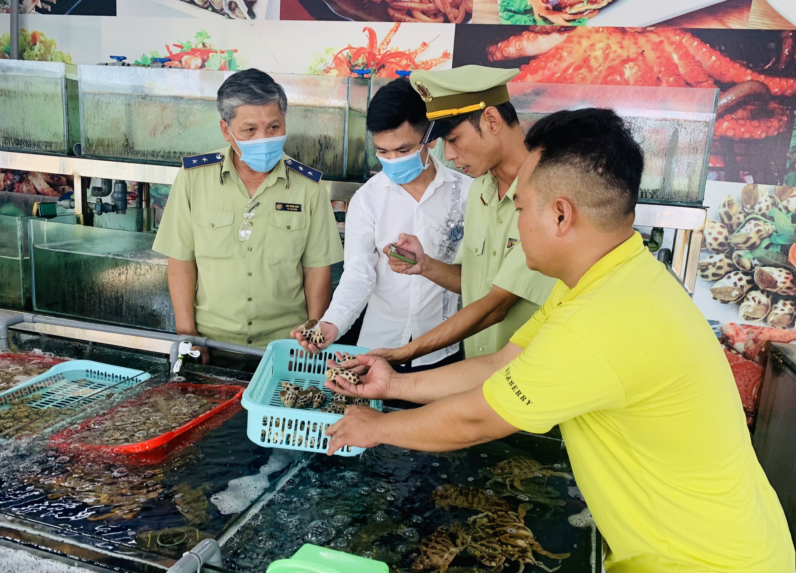 Thành viên của Đội kiểm tra liên ngành TP. Nha Trang kiểm tra chất lượng hải sản được bày bán tại nhà hàng