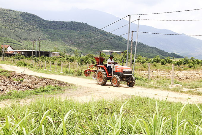 Người dân đã bắt đầu áp dụng cơ giới hóa trong canh tác mía.