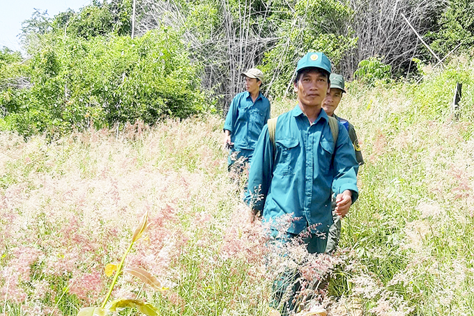  Lực lượng của Ban Quản lý rừng phòng hộ Nam Khánh Hòa  tuần tra trong lâm phận.