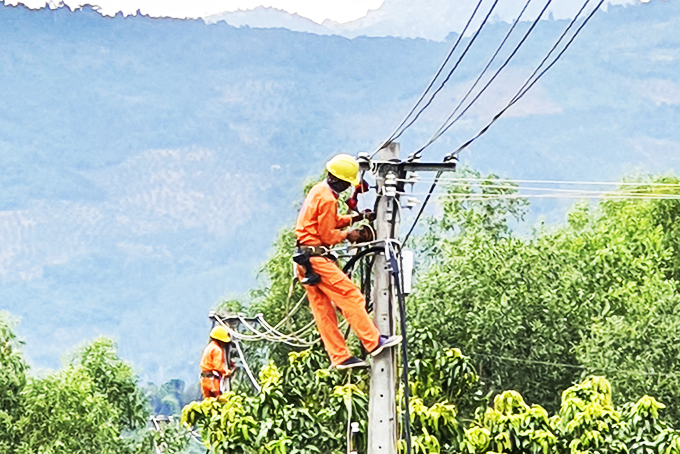 Công nhân Công ty Cổ phần Điện lực Khánh Hòa bảo trì hệ thống lưới điện.