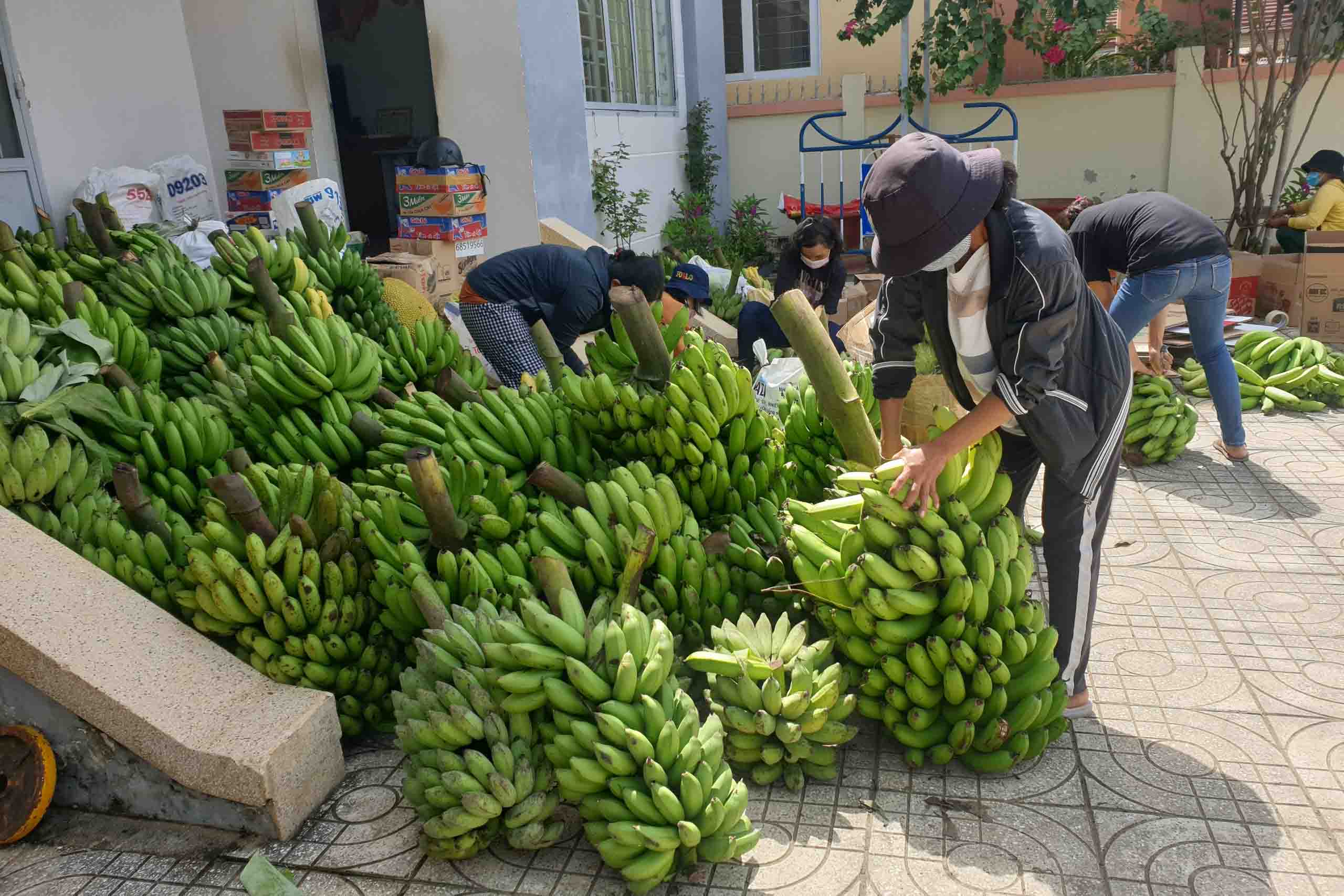 Các hội viên mang nông sản đến ủng hộ. 