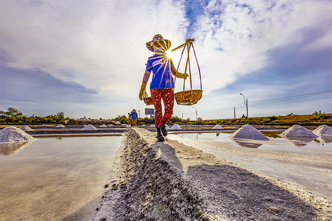 Lao động trên cánh đồng muối.