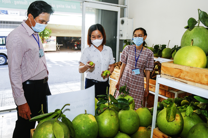 Hội Nông dân tỉnh hỗ trợ tiêu thụ một số loại nông sản cho hội viên, nông dân.