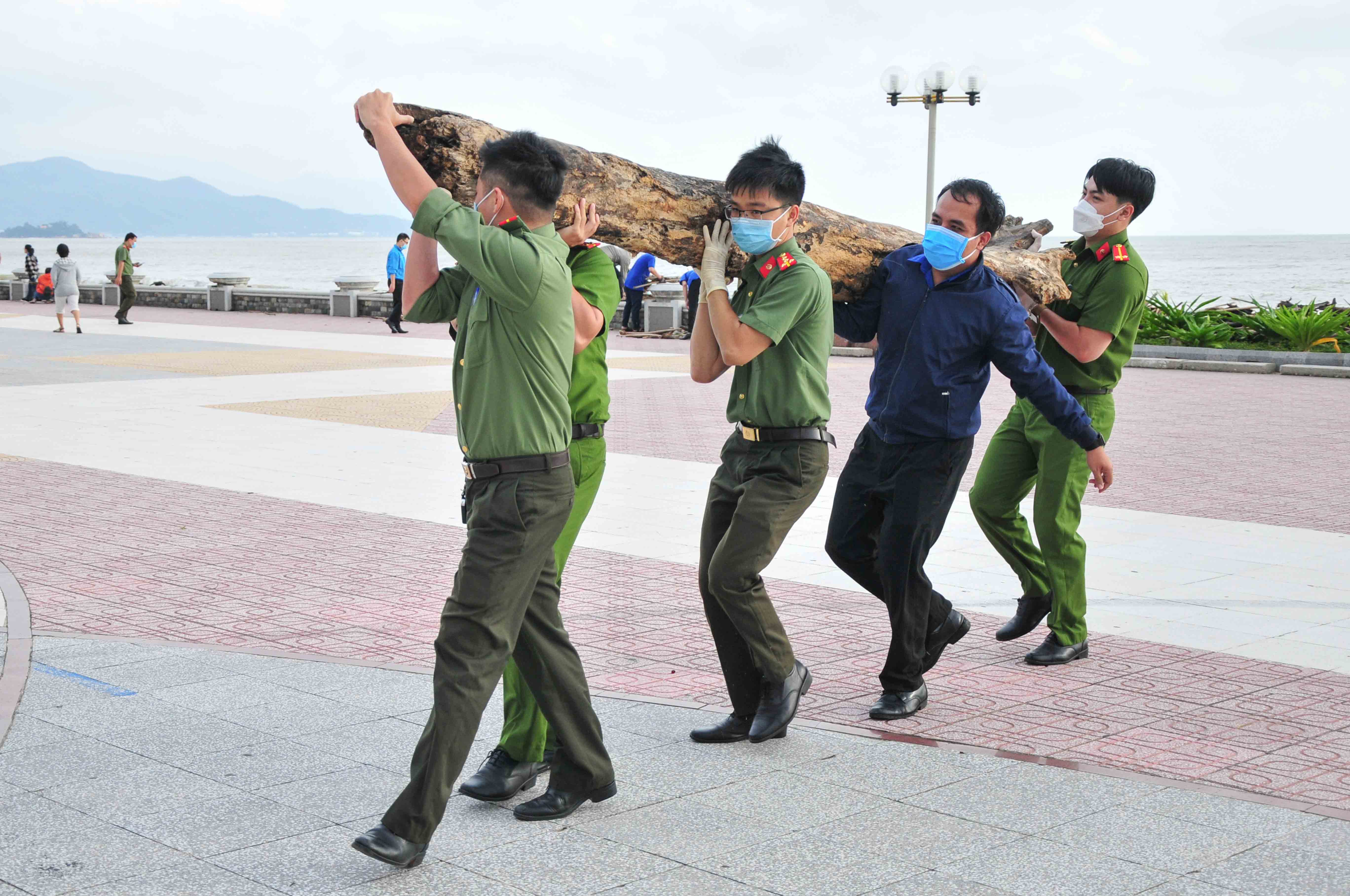 Có những thân cây lớn và nặng, phải nhiều người mới có thể khiêng được