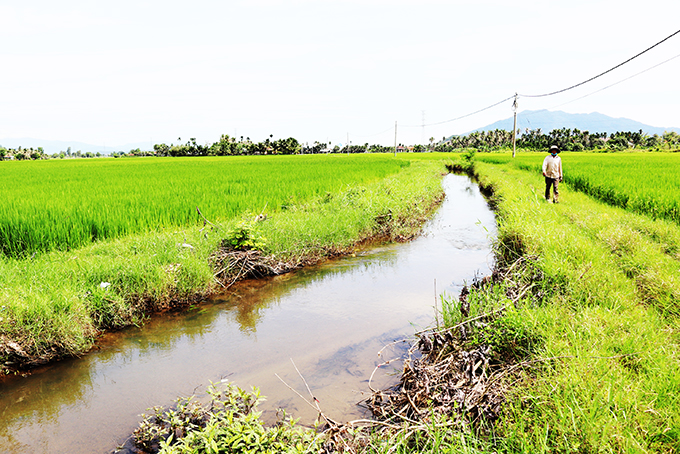 uyến kênh mương nội đồng xã Ninh Lộc. 