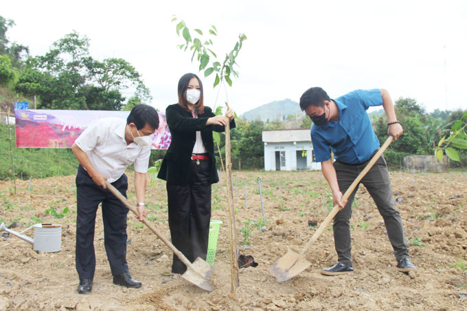 Lãnh đạo Báo Khánh Hòa, UBND huyện Khánh Sơn, Công ty TNHH MTV Hải Yến Nha Trang trồng cây hoa anh đào tạo cảnh quan tại Vườn hoa Thanh niện huyện Khánh Sơn.