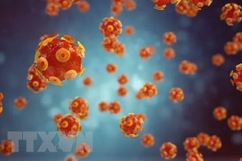 Hình ảnh mô phỏng virus gây bệnh viêm gan. (Ảnh: Getty Images/TTXVN)