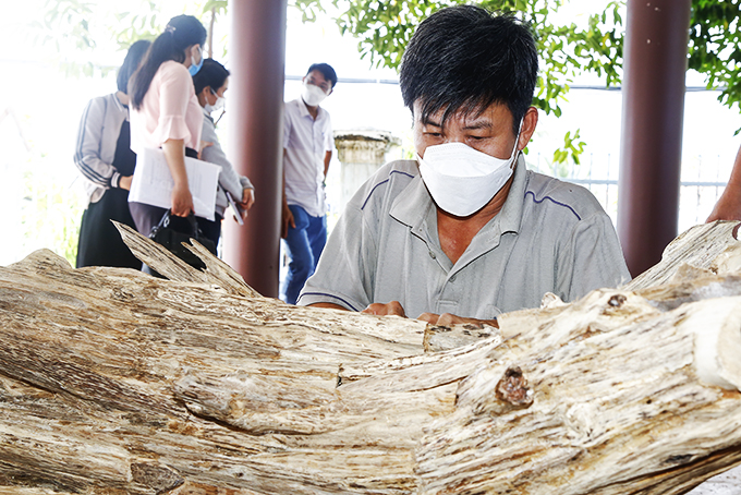 Nghệ nhân chế tác trầm ở xã Vạn Thắng (huyện Vạn Ninh).