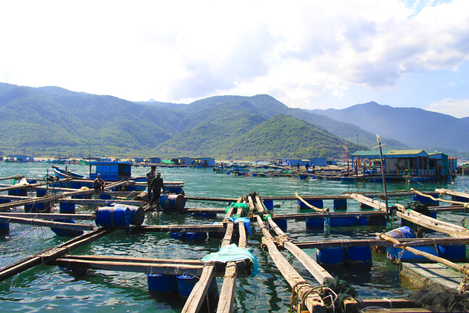 Nguời nuôi thuỷ sản lồng bè ở Bình Hưng (xã Cam Bình, tp. Cam Ranh) bị thiệt hại nặng trong mùa mưa bão năm 2021