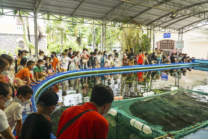 Khách du lịch tham quan Viện Hải dương học (TP. Nha Trang).