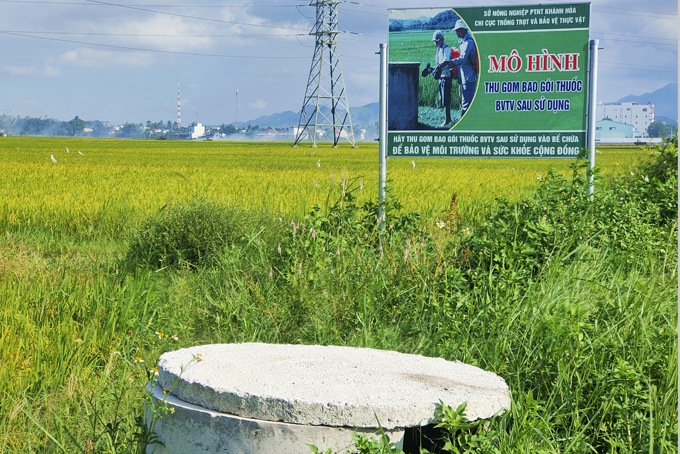 Mô hình tại cánh đồng lúa xã Vĩnh Phương, Nha Trang.