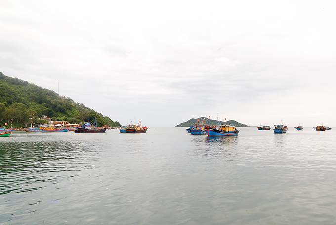 Tàu thuyền tại Cảng cá Đại Lãnh đang sẵn sàng di chuyển đến nơi an toàn