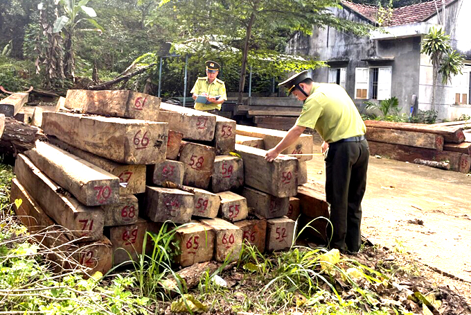 Hạt Kiểm lâm Khánh Sơn tạm giữ một số lâm sản để tiếp tục xử lý theo quy định