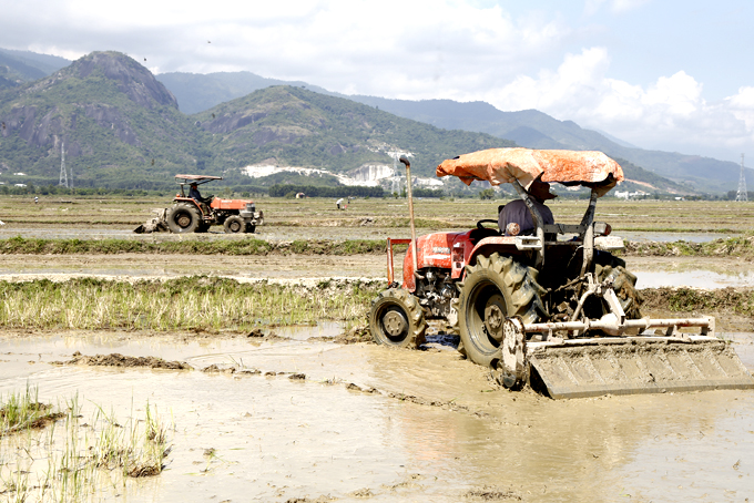 Nông dân Diên Khánh áp dụng máy móc vào sản xuất nông nghiệp.