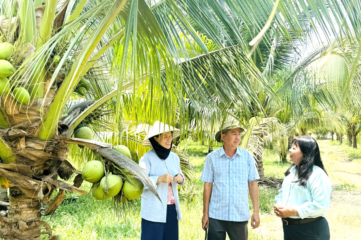 Làm giàu trên vùng đất khó