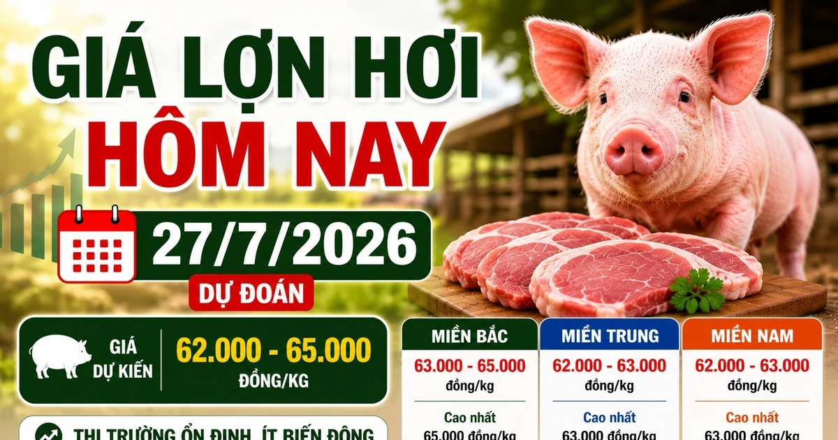 Giá lợn hơi hôm nay 27/7: Miền Bắc cao nhất 65.000 đồng/kg