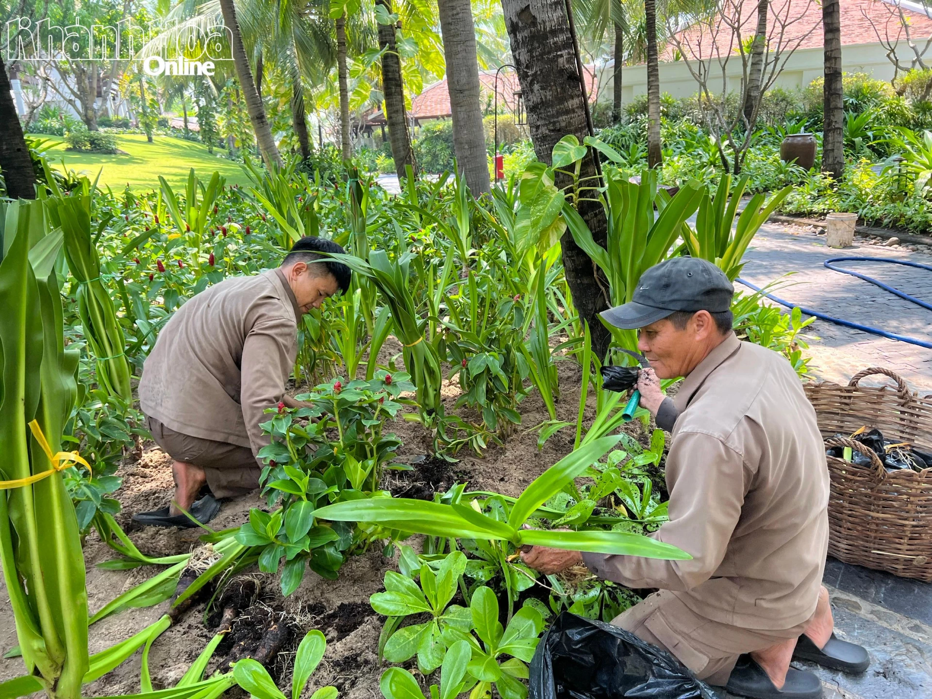 The Anam Foundation cam kết hằng năm sẽ đầu tư 1 tỷ đồng để trồng cây xanh