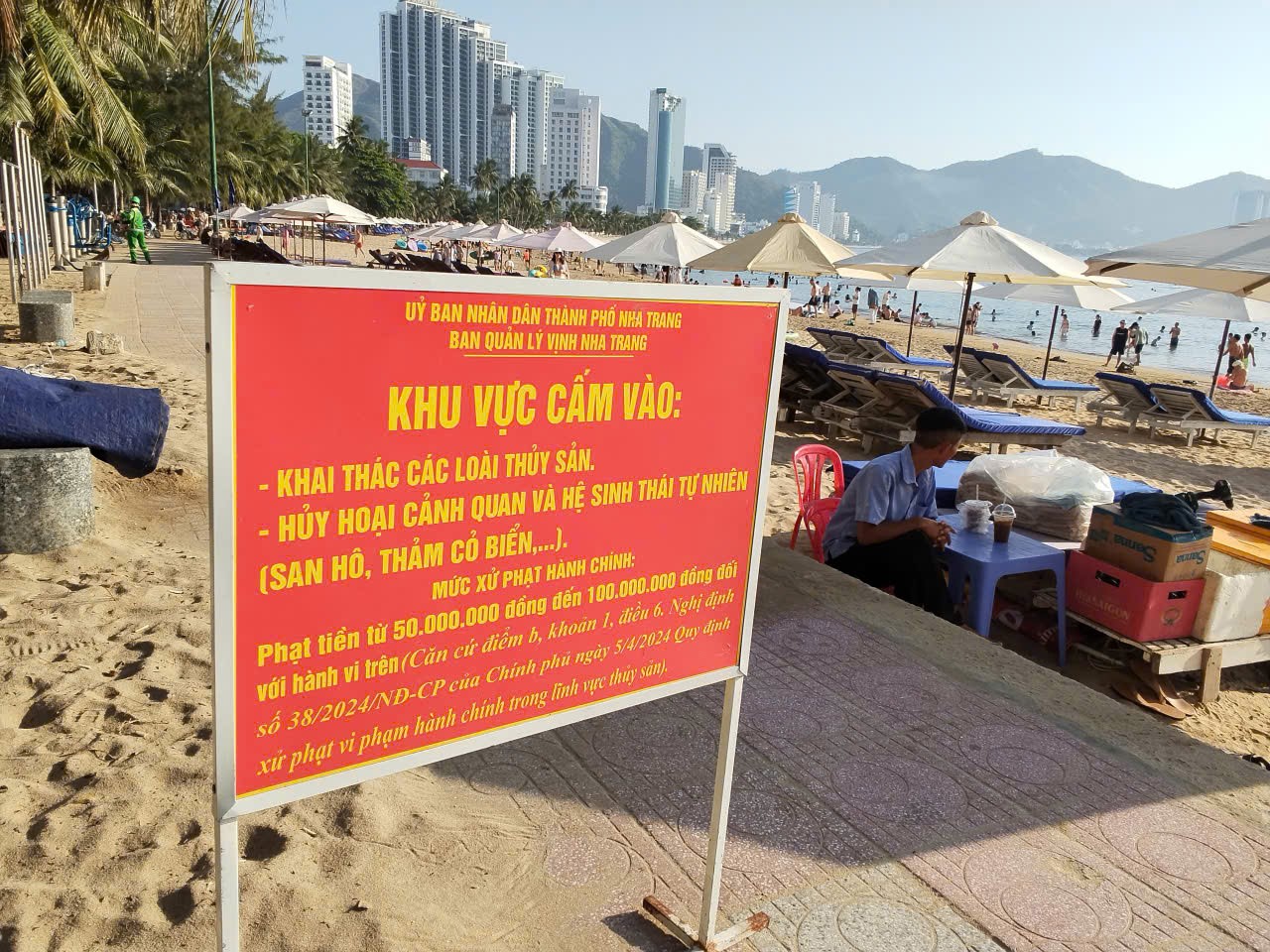 Xác minh vụ nhóm người bẻ san hô ở Nha Trang- Ảnh 2.